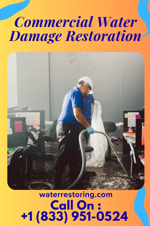 Commercial Water Damage Restoration in Palo, IA