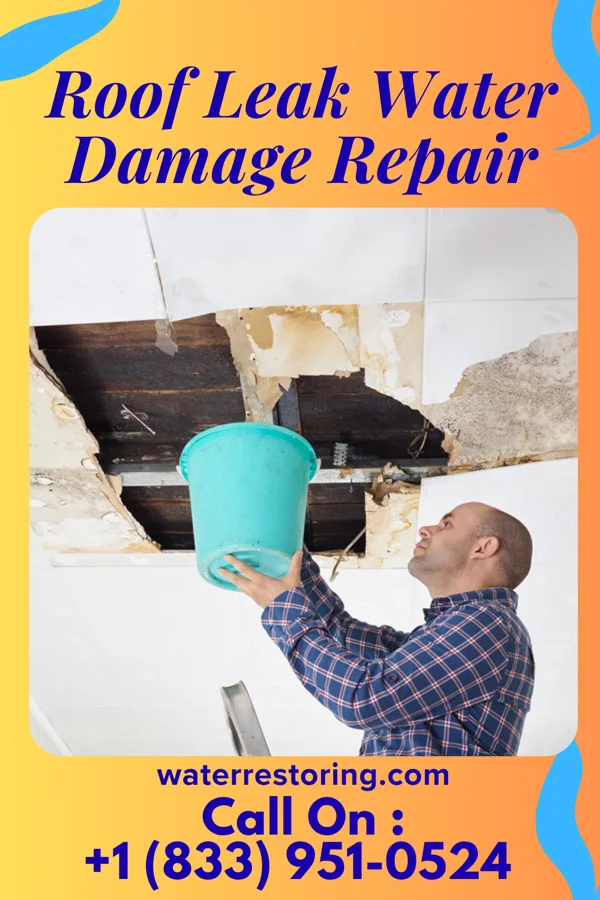 Roof Leak Water Damage Repair in Palo, IA